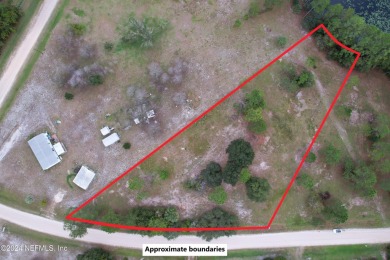 (private lake, pond, creek) Lot For Sale in Georgetown Florida