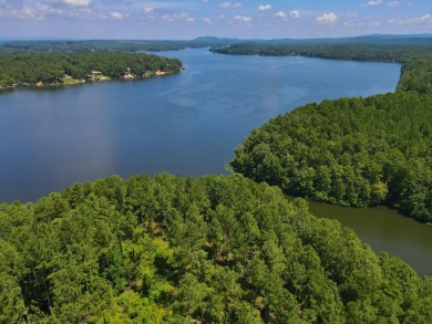 Lake Mitchell Acreage For Sale in Sylacauga Alabama