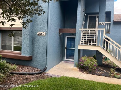 (private lake, pond, creek) Condo For Sale in Weeki Wachee Florida