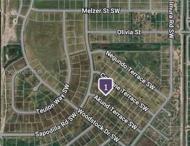 Prime Vacant Lot - Ideal for Future Development! Spacious vacant - photo 3