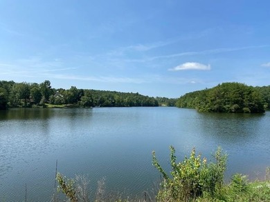 Sawtooth Branch is a private gated community on 240 acres in the - photo 2