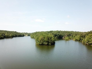 Sawtooth Branch is a private gated community on 240 acres in the - photo 4