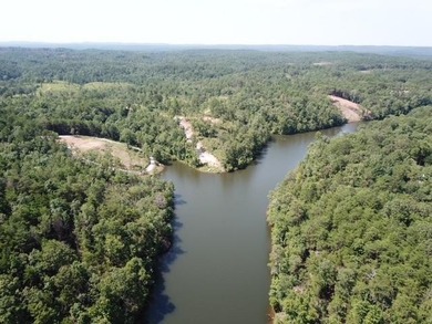 Sawtooth Branch is a private gated community on 240 acres in the - photo 5