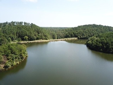 Sawtooth Branch is a private gated community on 240 acres in the - photo 7