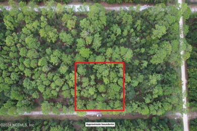 Lake George Lot For Sale in Georgetown Florida
