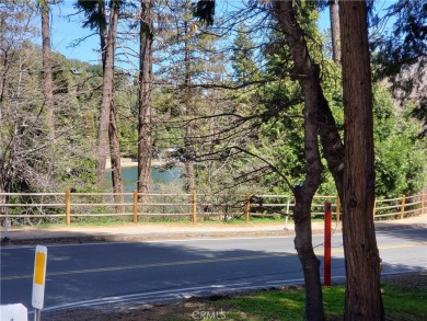 Lake Gregory Lot For Sale in Crestline California