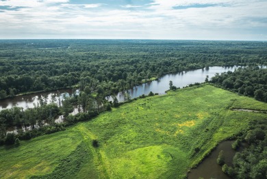 (private lake, pond, creek) Acreage For Sale in Wickliffe Kentucky