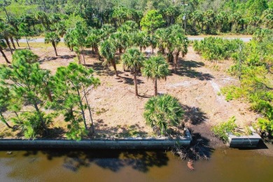 Port Charlotte Waterway Lakes Area Lot For Sale in Port Charlotte Florida