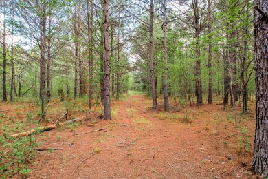 This 55 ++ acres in beautiful Appling, Georgia, offers over 600' - photo 1