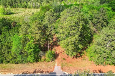This 55 ++ acres in beautiful Appling, Georgia, offers over 600' - photo 3