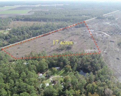 This 17 acre parcel in highly desirable St Johns County with - photo 3
