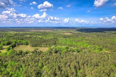 This 55 ++ acres in beautiful Appling, Georgia, offers over 600' - photo 4