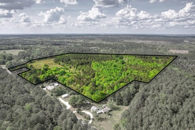 This 55 ++ acres in beautiful Appling, Georgia, offers over 600' - photo 8