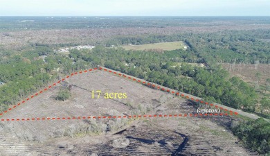 This 17 acre parcel in highly desirable St Johns County with - photo 8