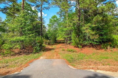 This 55 ++ acres in beautiful Appling, Georgia, offers over 600' - photo 9
