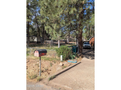 Lake Home For Sale in Show Low, Arizona