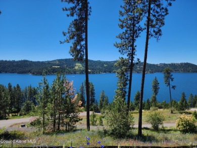 Lake Lot For Sale in Harrison, Idaho
