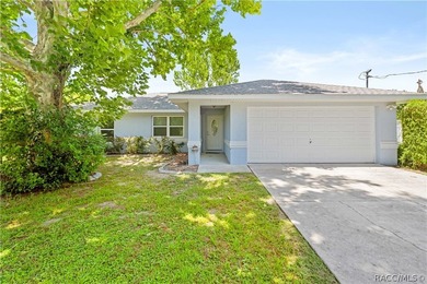 Tsala Apopka Chain of Lakes Home For Sale in Floral City Florida