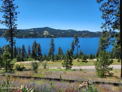 Lake Lot For Sale in Harrison, Idaho