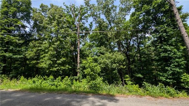 Welcome to Northwest Arkansas! 3 bedroom Perc test Attached - photo 1