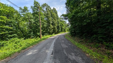 Welcome to Northwest Arkansas! 3 bedroom Perc test Attached - photo 5