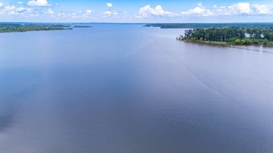 Stunning Lakefront Home on Lake Sam Rayburn! Located just 2 - photo 11