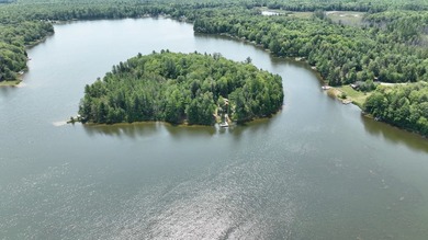 EXCLUSIVE PRIVATE ISLAND FOR SALE - WITH TURN-KEY HOME, IN THE - photo 4