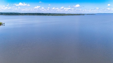 Stunning Lakefront Home on Lake Sam Rayburn! Located just 2 - photo 15