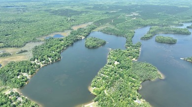 EXCLUSIVE PRIVATE ISLAND FOR SALE - WITH TURN-KEY HOME, IN THE - photo 5