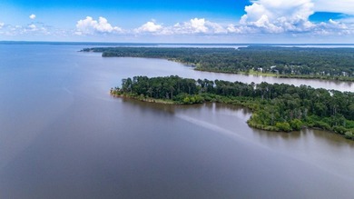Stunning Lakefront Home on Lake Sam Rayburn! Located just 2 - photo 16