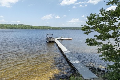 Experience exceptional lakeside living in this custom-built log - photo 7