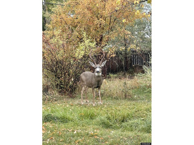 Don't miss this 1,624 sq ft, clean and maintained *Very Lander