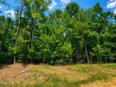 4.4+/- Acres | South Greene County | Vernal Community Beautiful - photo 3