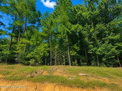 4.4+/- Acres | South Greene County | Vernal Community Beautiful - photo 4