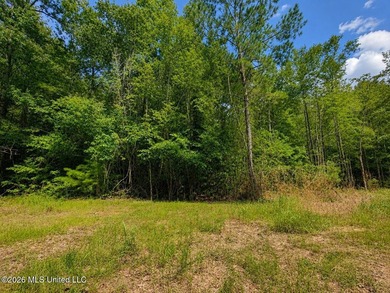 4.4+/- Acres | South Greene County | Vernal Community Beautiful - photo 5