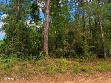 4.4+/- Acres | South Greene County | Vernal Community Beautiful - photo 6