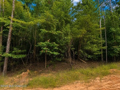 4.4+/- Acres | South Greene County | Vernal Community Beautiful - photo 9