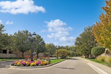 Luxury, Space, and Zero Maintenance in Oakbrook Terrace A truly - photo 21