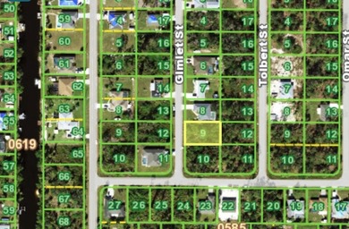 CITY WATER LOT. Very nice lot in the growing city of Port - photo 2