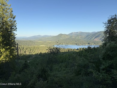 Lake Acreage For Sale in Rose Lake, Idaho