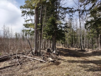 Lake Superior - Baraga County Acreage For Sale in L Anse Michigan
