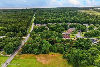 Discover the possibilities with this 1.58-acre partially cleared - photo 3