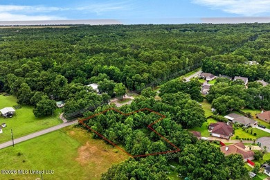 Discover the possibilities with this 1.58-acre partially cleared - photo 6