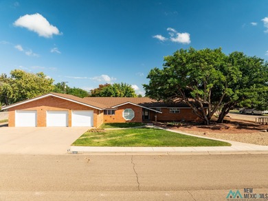 (private lake, pond, creek) Home For Sale in Clovis New Mexico