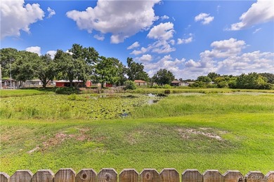 Great price for a great 3-bedroom 2-bath home in Homosassa. The - photo 4