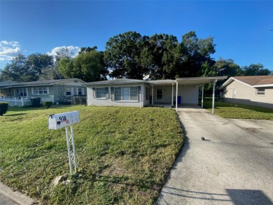Lake Home Sale Pending in Lakeland, Florida