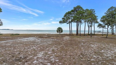 Florida's Forgotten Coast!!!Coastal waterfront property on 1 - photo 22