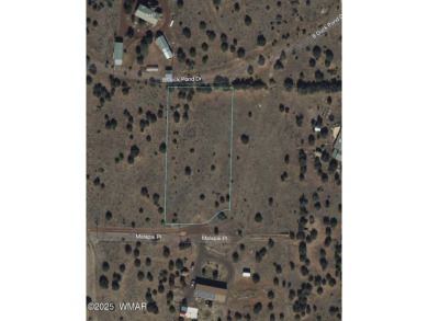 Lake Lot For Sale in Show Low, Arizona