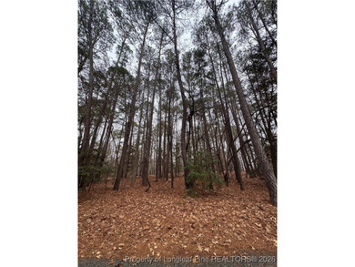 Build your next home on this .21 acre lot located in the - photo 3