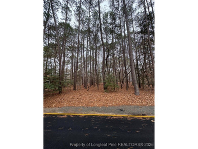 Build your next home on this .21 acre lot located in the - photo 4